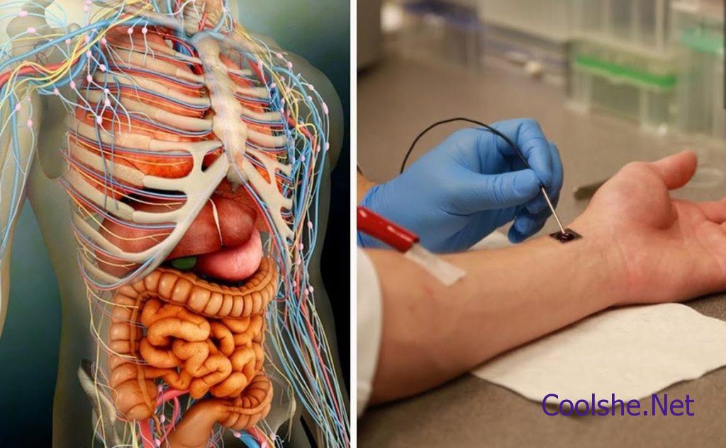 ما الذي يتكون في الدم لمحاربة مولدات الضد