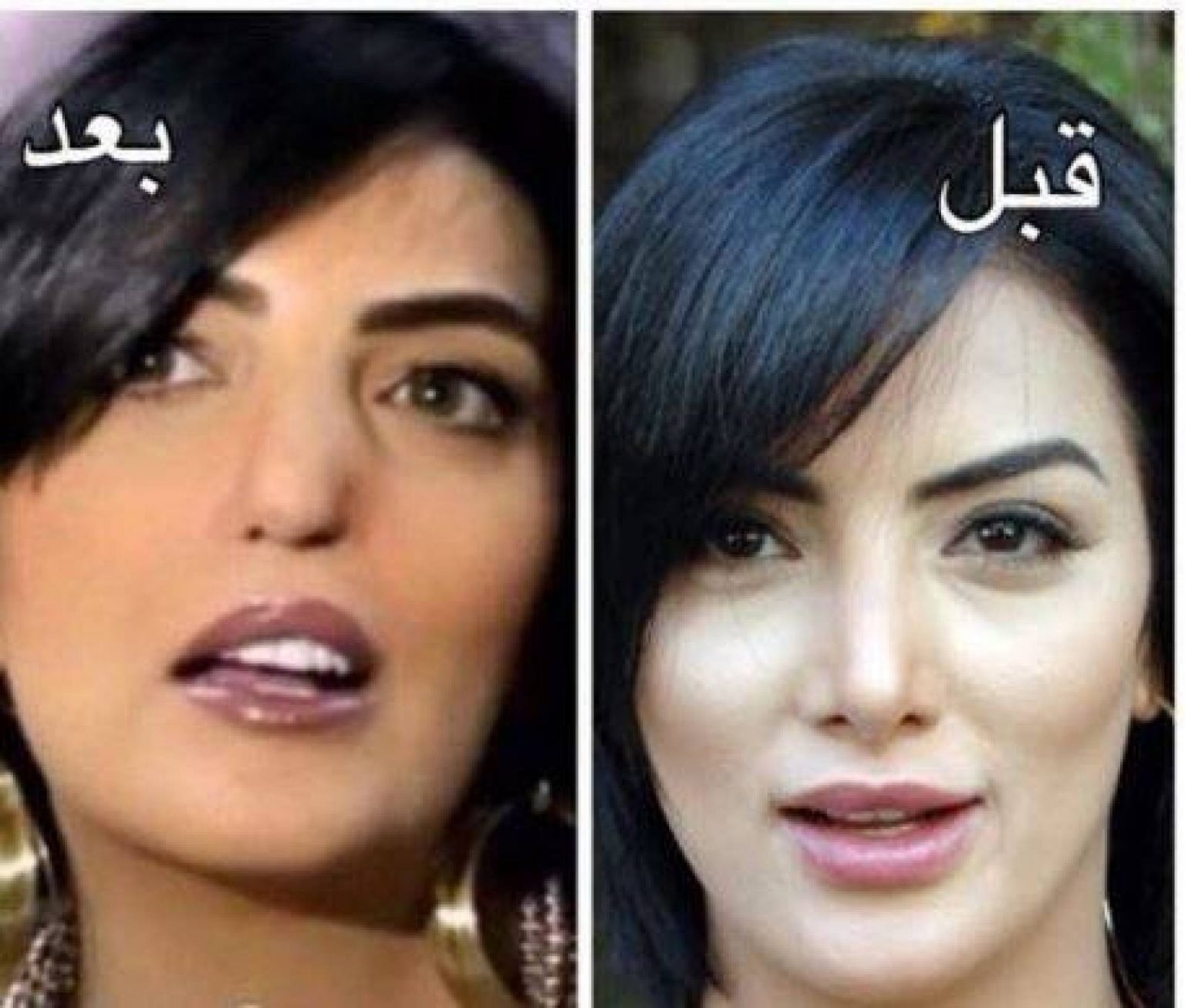 يلون الغطاء النباتي على الخريطة الطبوغرافية باللون: