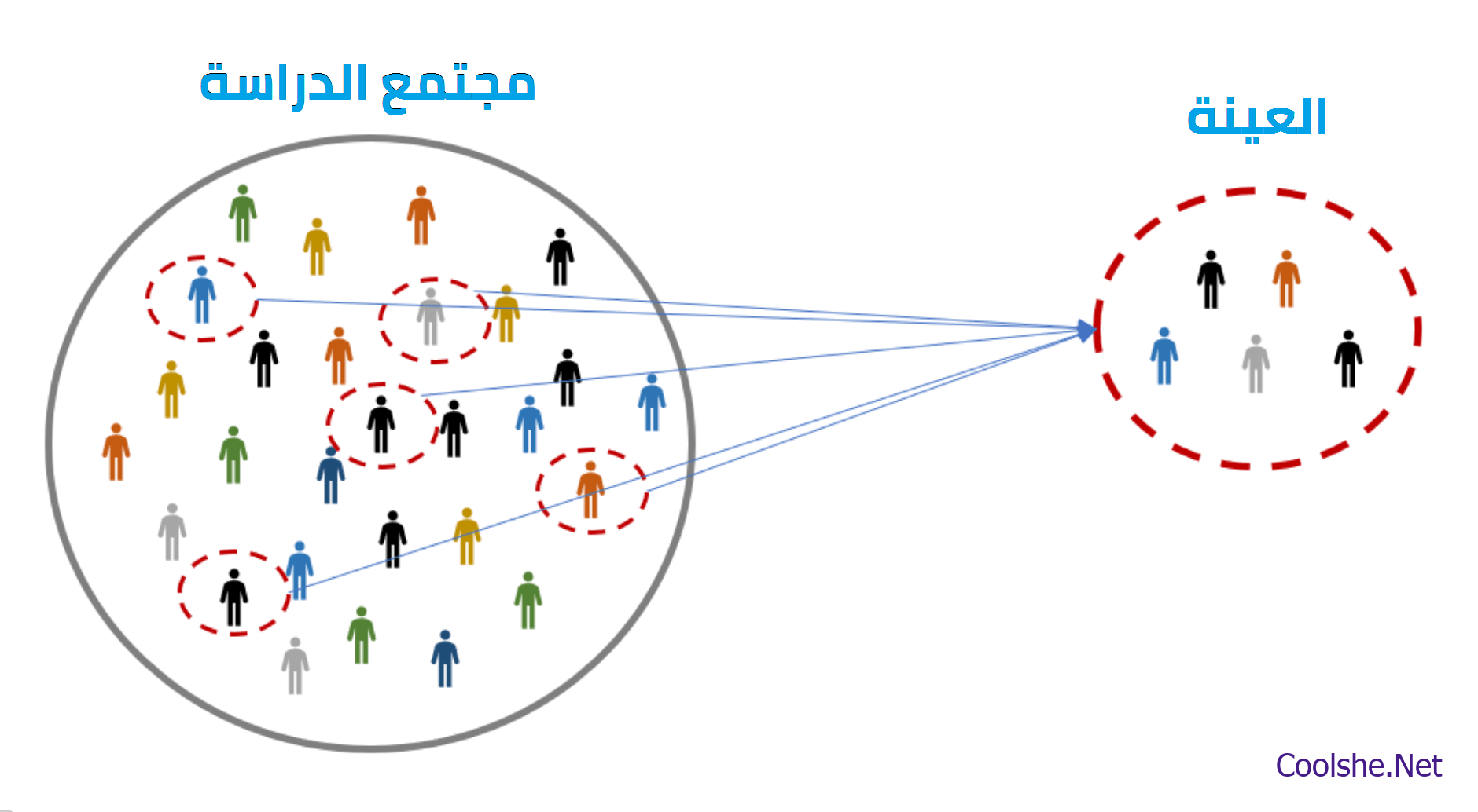 أي العينات الآتية عينات غير متحيزة كل شي