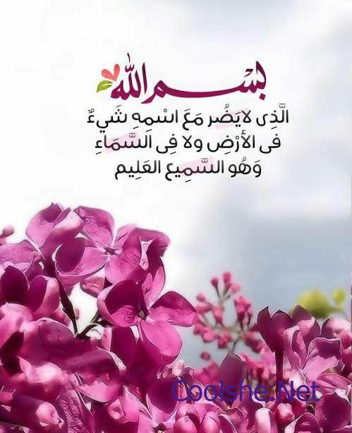 ماهو الماء الذي ليس من الارض ولا من السماء