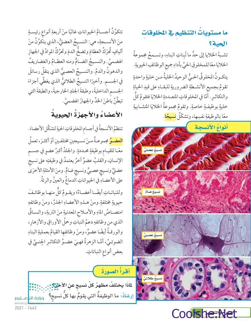 ام من خطا الخلايا صح النسيج يتكون من مجموعه المتشابهه صواب ام