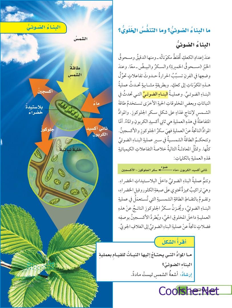 تساعد إستراتيجية القراءة المركزة للاستذكار على: