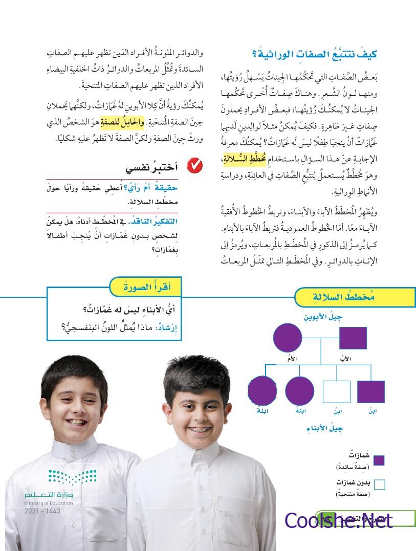 اكبر عدد من الالكترونات يمكن ان يستوعبه مجال الطاقة الرابع